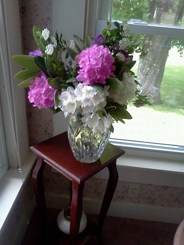 Flowers from the front yard!